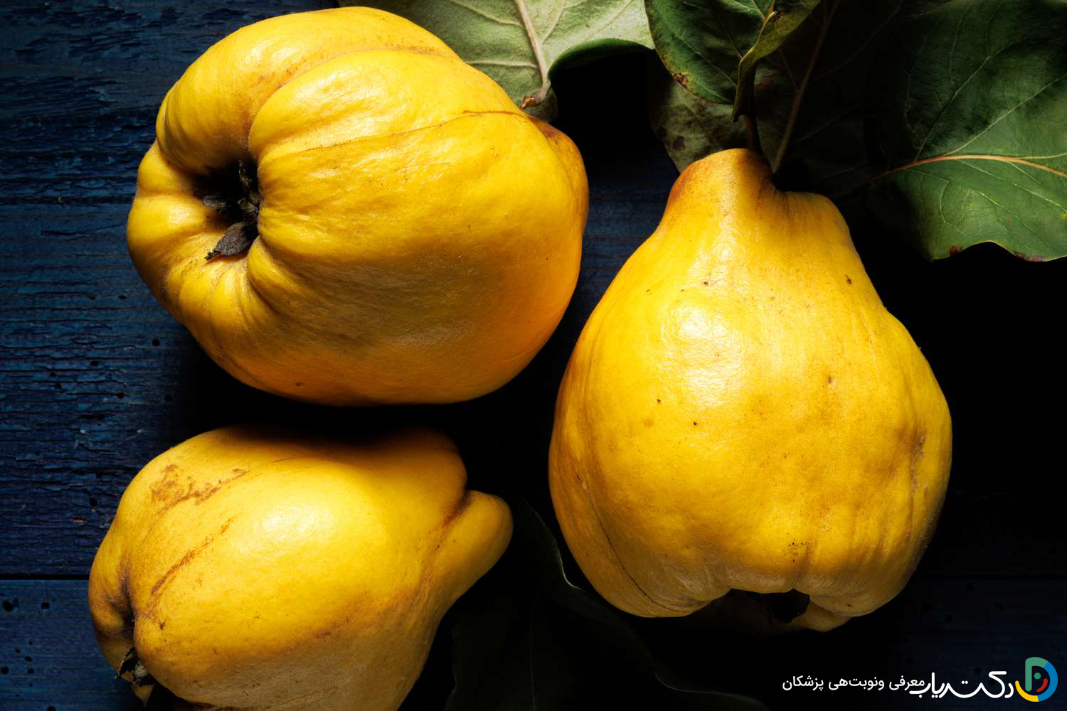 خواص به در بارداری