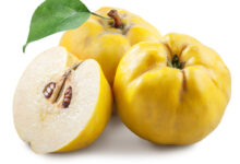 خواص به برای تخمدان