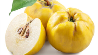 خواص به برای تخمدان