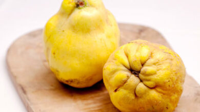 خواص به در دوران بارداری