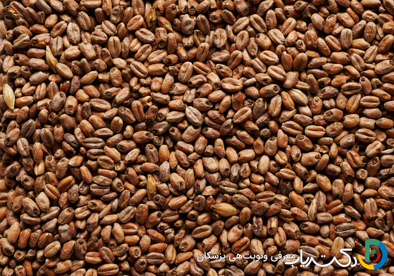 خواص گندم برشته