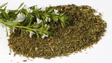 خواص مرزه برای ریه