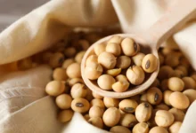خواص سویا آجیلی برای چاقی
