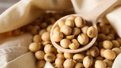 خواص سویا آجیلی برای چاقی