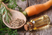 خواص تخم هویج برای بارداری