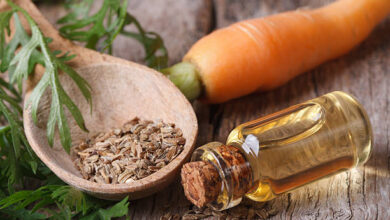 خواص تخم هویج برای بارداری