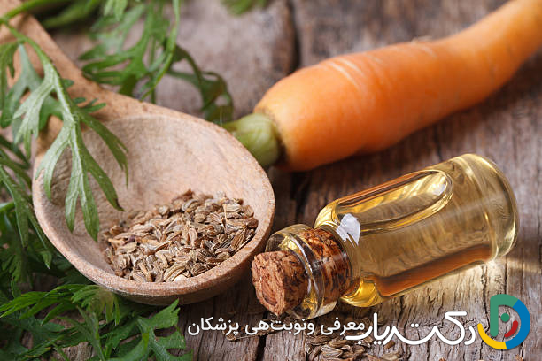 خواص تخم هویج برای بارداری