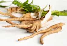 خواص ریشه کاسنی برای مردان