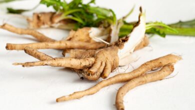 خواص ریشه کاسنی برای مردان