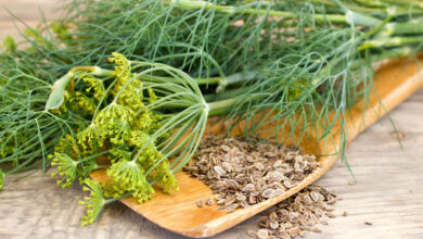 خواص تخم شوید برای رحم