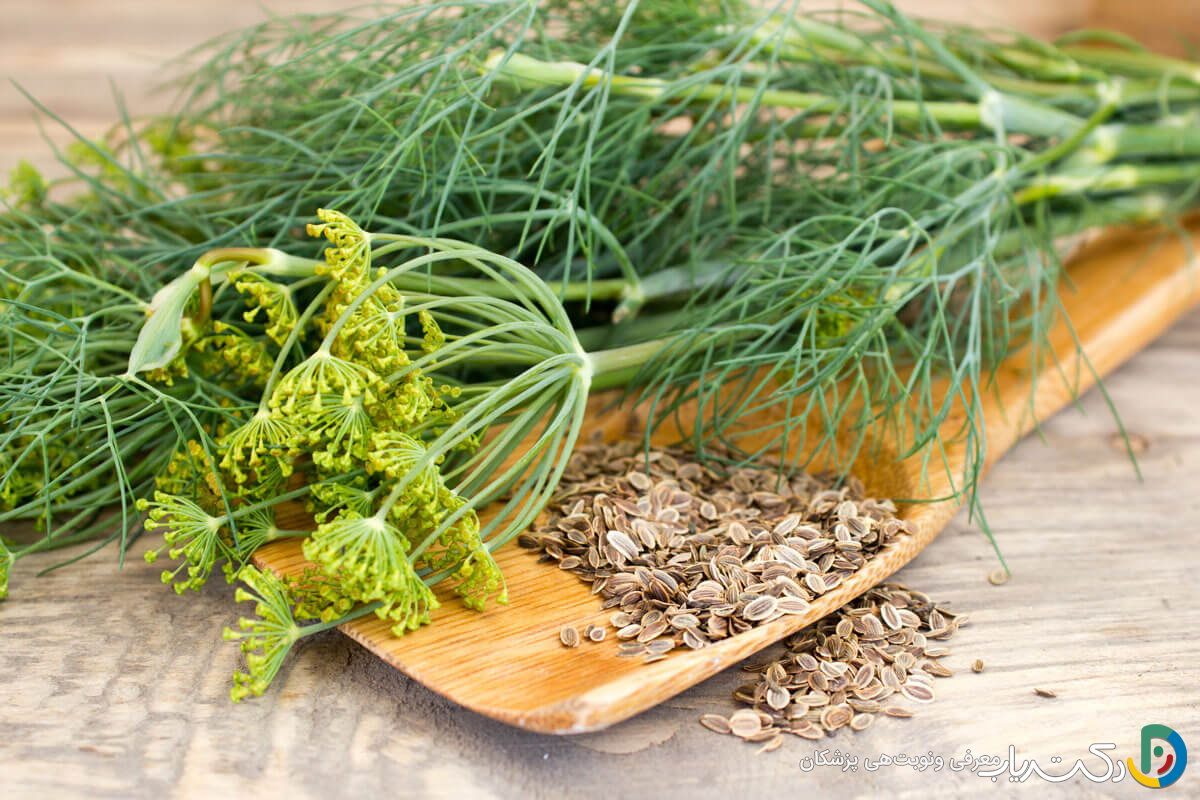 خواص تخم شوید برای رحم