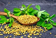 خواص شنبلیله برای چاقی