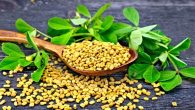 خواص شنبلیله برای چاقی