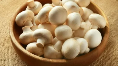 خواص قارچ برای کبد چرب