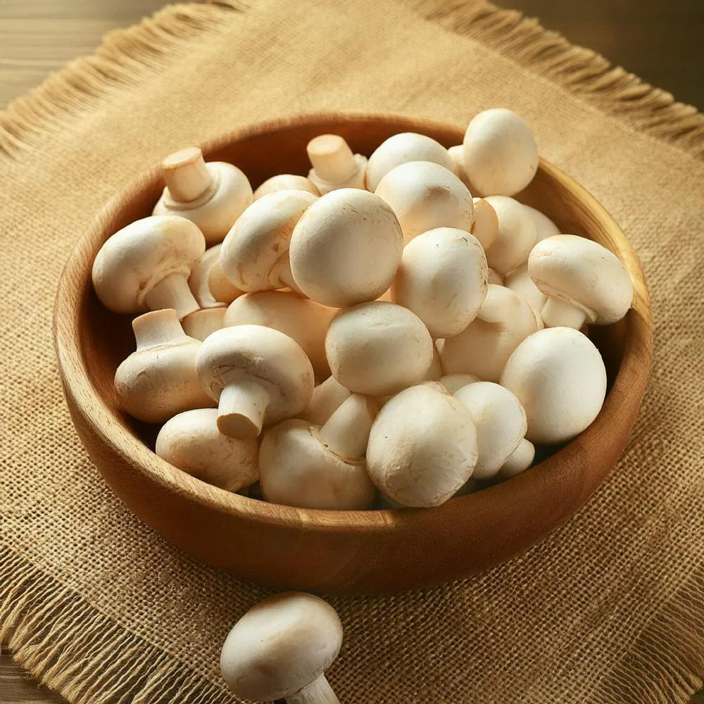 خواص قارچ برای کبد چرب
