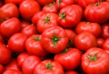 خواص گوجه فرنگی برای پروستات