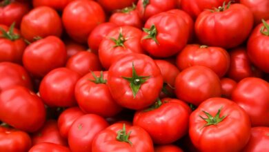 خواص گوجه فرنگی برای پروستات