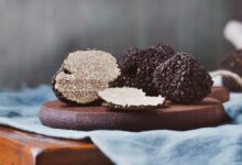 خواص قارچ کوهی