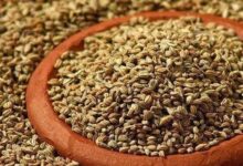 خواص زنیان برای معده