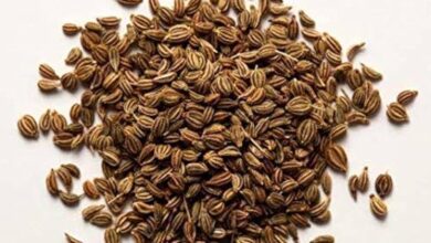 خواص زنیان برای یبوست