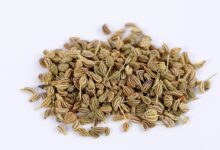 خواص زنیان برای کلیه