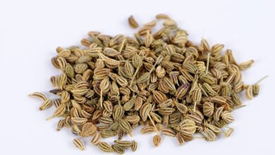 خواص زنیان برای کلیه