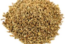 خواص زنیان برای قاعدگی