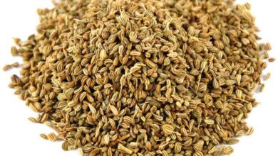 خواص زنیان برای قاعدگی