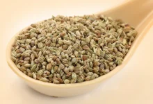 خواص زنیان برای باردار شدن