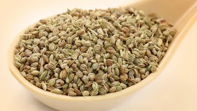 خواص زنیان برای باردار شدن