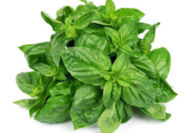 خواص ریحان برای مردان