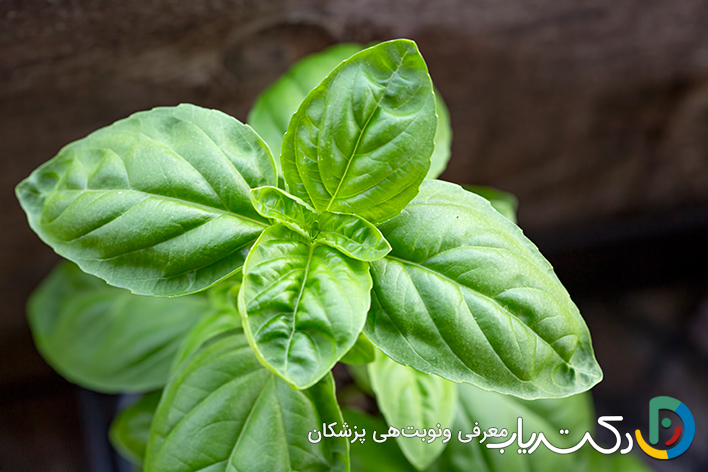 خواص ریحان برای قلب