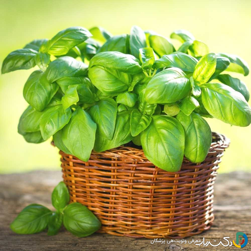 خواص ریحان برای پوست