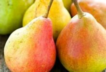 خواص گلابی برای رحم