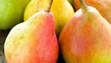 خواص گلابی برای رحم