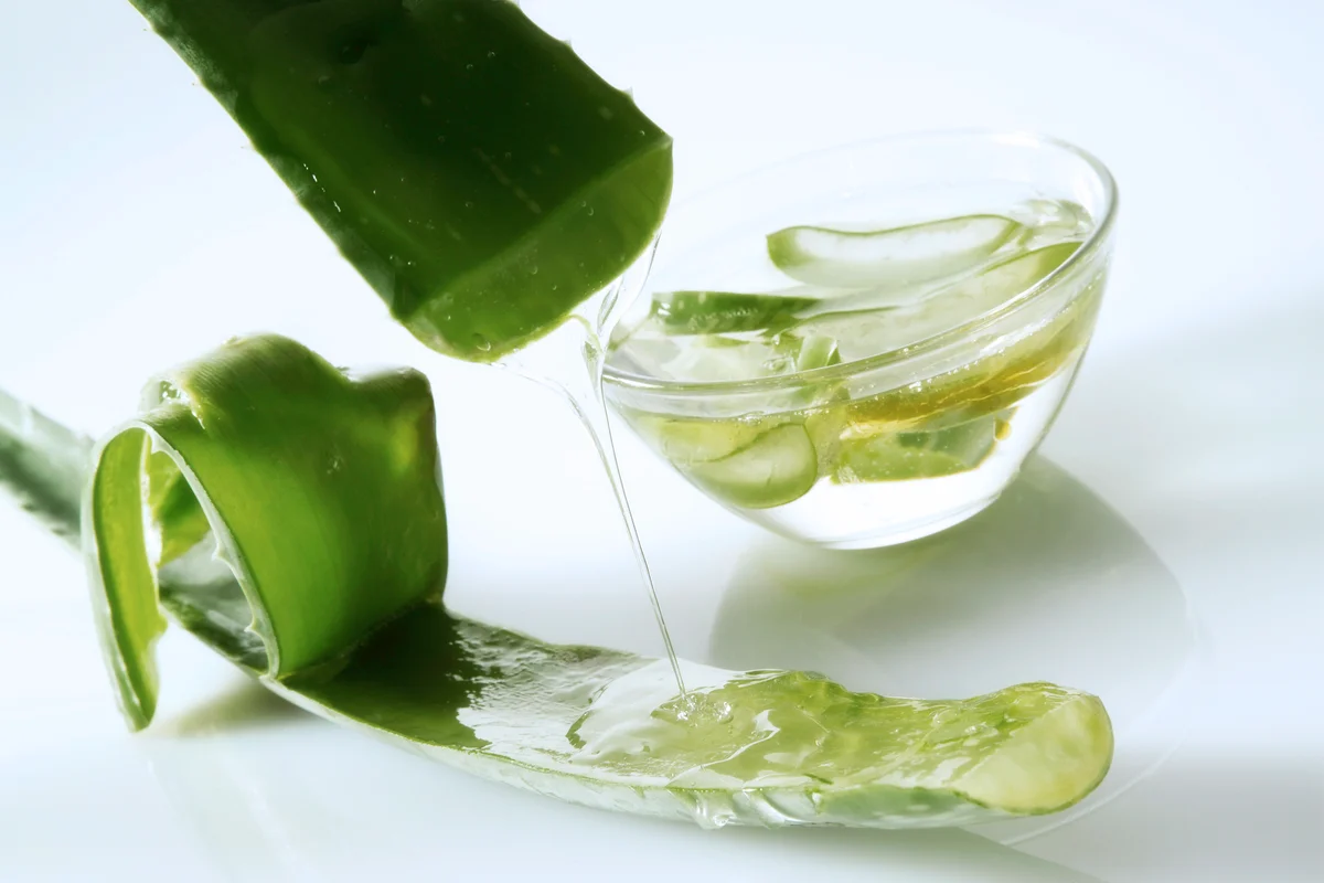 خواص آلوورا برای دستگاه گوارش