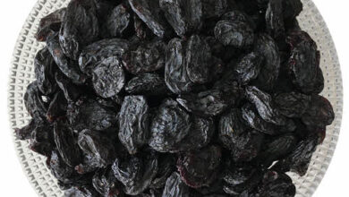 خواص مویز برای مغز