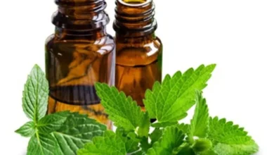خواص روغن نعناع برای ماساژ