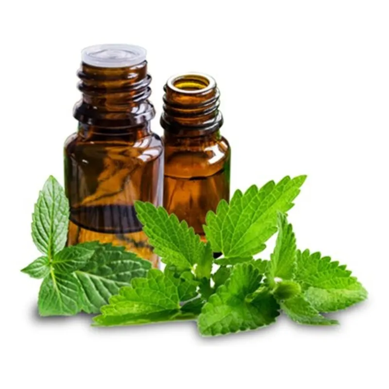 خواص روغن نعناع برای ماساژ