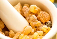 خواص کندر برای حافظه بزرگسالان
