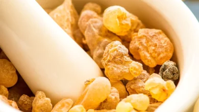 خواص کندر برای حافظه بزرگسالان