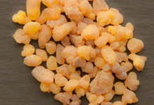 خواص کندر برای پوست