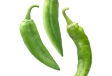 خواص فلفل سبز برای معده