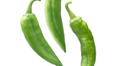 خواص فلفل سبز برای معده