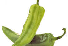 خواص فلفل سبز برای مو