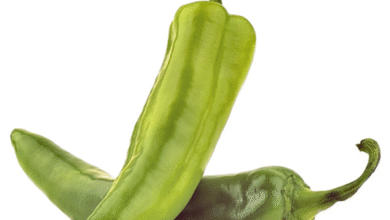 خواص فلفل سبز برای مو