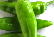 خواص فلفل سبز برای کبد