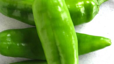 خواص فلفل سبز برای کبد