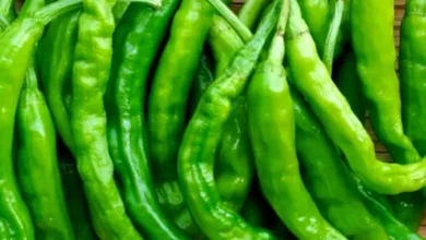 خواص فلفل سبز برای سرماخوردگی