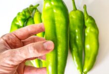 خواص فلفل سبز برای بدن